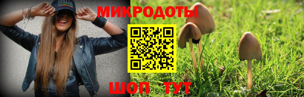 Псилоцибиновые грибы мухоморы  Вход с VPN  Галлюциногенные грибы мицелий  Холмск 